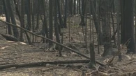 Manitoba residents, cottagers assess wildfire damage in Lac du Bonnet