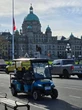 Street-legal electric golf carts now available to rent in Victoria