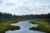 Critics slam Ontario for proposal to create zones where projects are exempt from laws
