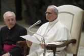 Carney to attend Pope Leo’s inaugural mass in Rome on Sunday