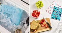 The best ice packs for lunch boxes, coolers and more