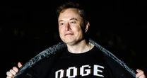 State versions of DOGE take more modest approaches than Elon Musk's shock-and-awe moves in Washington