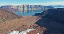 Global warming is making Greenland more green