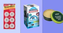 How to get rid of mosquitoes at home and keep them out