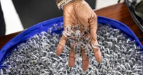 Kenyan court jails Chinese man in ant-smuggling case