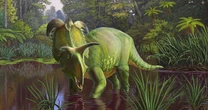 A giant dinosaur roamed Montana with blade-like horns. It's been named after Norse god Loki.