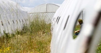 Death of Indian laborer highlights plight of farm workers in Italy