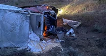 Mormon cricket 'sludge' causes crashes in Nevada 