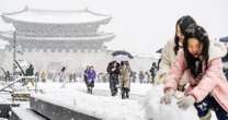 Heavy snowfall brings chaos and cheer as it blankets South Korea