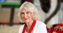 U.K.'s Queen Camilla suffering from chest infection, Buckingham Palace says