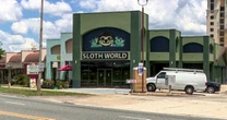 31 sloths meant for Florida 'slotharium' attraction die in warehouse or in transit