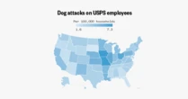 Dog attacks on mail carriers reach 7-year high
