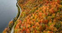 Bright, brief and early: New England's fall foliage may not last long