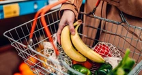 Federal food assistance program may slow cognitive decline, study suggests 