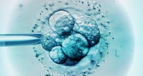Dueling approaches to infertility vie for Congress’ attention