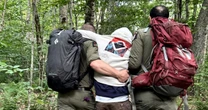 Hikers experiencing 'debilitating high' from magic mushrooms rescued from New York wilderness