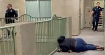 LAPD kills dog in Knicks shirt while responding to call on woman screaming about Knicks win