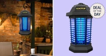 Deal of the Day: Get 50% off this popular bug zapper