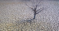 Earth just had its hottest year ever recorded — by far