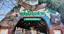 Toddler injured by wolf at Zoo America after crawling under a fence to enclosure