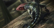 Ancient reptile footprints upend theories about when animals evolved to live on land 