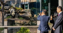 China promises pair of pandas to Australia as relations warm