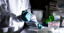 The NIH says it's focused on whole-virus vaccines. What are they?