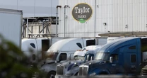 FDA says Taylor Farms lettuce sample tested for cyclospora produced false positive for the parasite