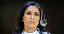 Tulsi Gabbard launches investigation into leaks at spy agencies