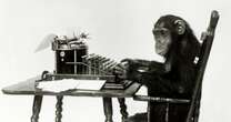 Could a monkey write Shakespeare before the universe dies? New research questions old theorem