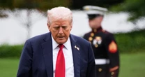 'NATO for nonprofits': Groups organize to band together if targeted by Trump