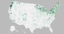 How climate change poses new risks to Christmas tree farms