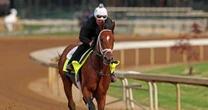 Four months after wildfires, Kentucky Derby favorite Journalism embodies symbol of resilience