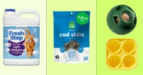 Amazon Pet Day sale: Get up to 50% off on dog food, cat litter, pet beds and more