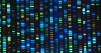 Nature looks to open up 'black box' of science by publishing peer review files