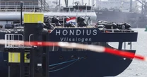 Hantavirus cases linked to cruise ship rise to 12 after crew member tests positive