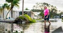 As hurricane season ends, researchers take stock of unexpected pattern