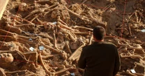 DNA reveals fevers among the killers of Napoleon's doomed army