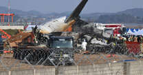 Duck DNA found in both engines of Jeju Air plane that crashed, report says