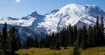 Body of skier recovered weeks after apparent fall in Mount Rainer National Park
