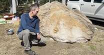 For 20 years, this school had no idea there was a dinosaur fossil right outside