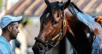 2024 Belmont Stakes: No Triple Crown winner but plenty of intrigue remains