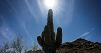 Temperatures expected to soar in the South over sizzling Father's Day weekend