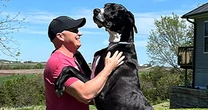 World's tallest male dog, Kevin, dies after setting new record