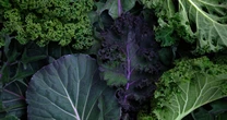If you want to protect your brain, this diet beats the Mediterranean diet, new study suggests