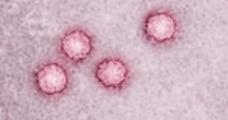 Hepatitis A rising among homeless, illicit drug users in Massachusetts, officials say