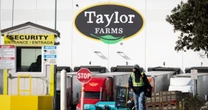 FDA says it’s still investigating Taylor Farms in cyclosporiasis outbreak