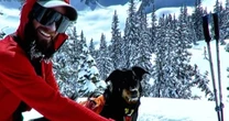Missing dog captured on trail camera 11 months after avalanche separated him from owner