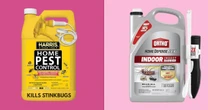 The best pet-safe bug sprays for your home