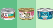 Does your cat really need to eat wet food? Here's what vets recommend